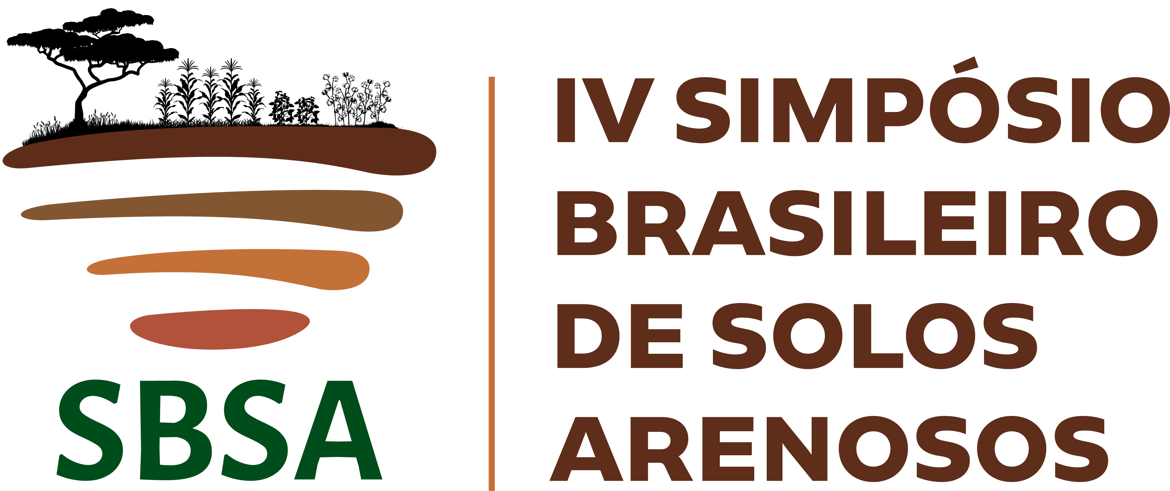 IV SBSA 2026